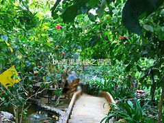 -呀路古热带植物园
