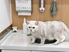 -希望动物医院(汉阳院)
