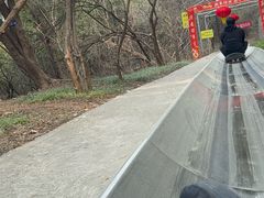 -佛慧山