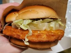 -麦当劳(保定裕华路店)