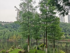 -重庆彩云湖湿地公园
