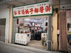 -洪馨椰子