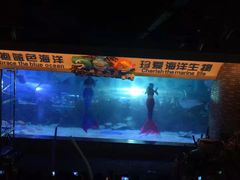 -成都浩海立方海洋公园