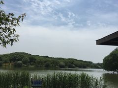 -苏州太湖国家湿地公园