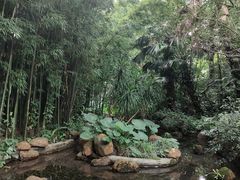 -广州兰圃