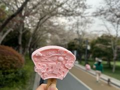 -蠡湖中央公园