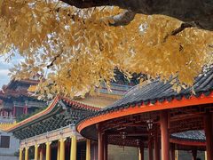 -广东圆玄道观