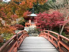 -醍醐寺