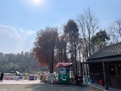 -上海海湾国家森林公园