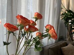 -九月里.自由花园餐厅