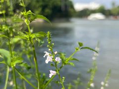 -广富林郊野公园