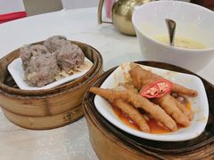 -柳饮·春柳酒家