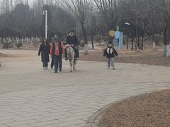 -前关湿地公园