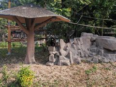 -深圳野生动物园