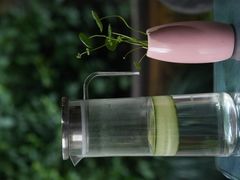 -野蔓果·山野菜(西湖景区·龙井茶田店)