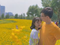 -长白岛森林公园