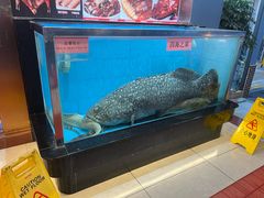 -四海之家(蛇口店)