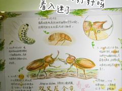 -上海昆虫博物馆