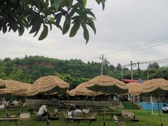 -桃源山庄·水蜜桃采摘·柴火鸡·烧烤团建(龙泉山店)