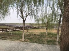 -西青郊野公园