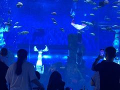 -石家庄极地海洋世界