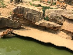 -无锡动物园·太湖欢乐园