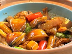 -南海渔村·徐博馆(琶洲店-粤菜养生宴)