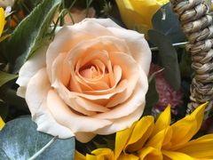 -槿妍花舍花艺生活馆(世纪港湾店)