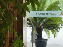 -金御沐足·影院式足道(新城店)