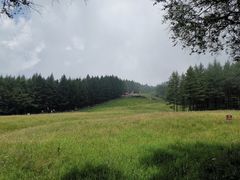 -驼梁风景区