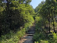 -桃花岭景区