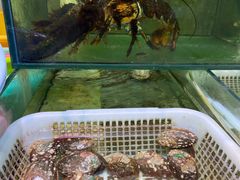 -胖子饺子馆·海鲜家常菜(海军博物馆店)