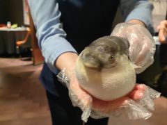 -肆月河豚·淮扬菜·湘菜(华天店)