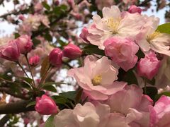 -大兴滨河森林公园