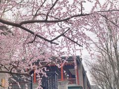 -北京师范大学附属中学