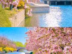 -元大都城垣遗址公园