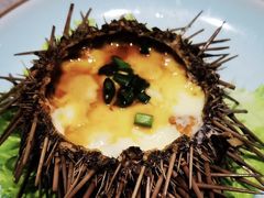 -大锅强·蒸海鲜青岛菜(吾悦广场店)