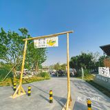赶一场岛集，成都人向往的生活都在这儿了