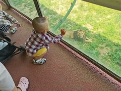 -新疆天山野生动物园