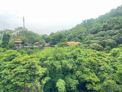-东莞市大岭山森林公园