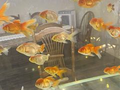 -Lamant Manor已闻花名关於蓝