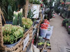 -金陵花卉交易市场