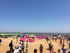 -碧海金沙