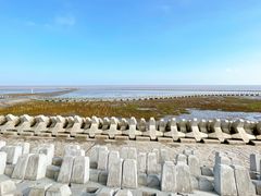 -南汇嘴观海公园