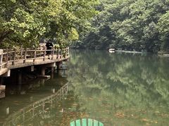 -关门山森林公园