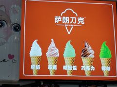 -萨朗刀克冰淇淋雪花凉(植物园店)