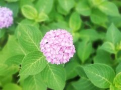 -陶然亭公园