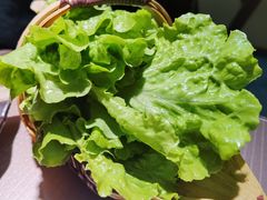 -美食美客土烙锅店·老字号