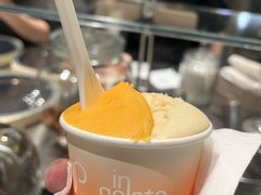 -Dip in Gelato(富民路店)