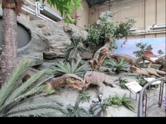 -国家自然博物馆